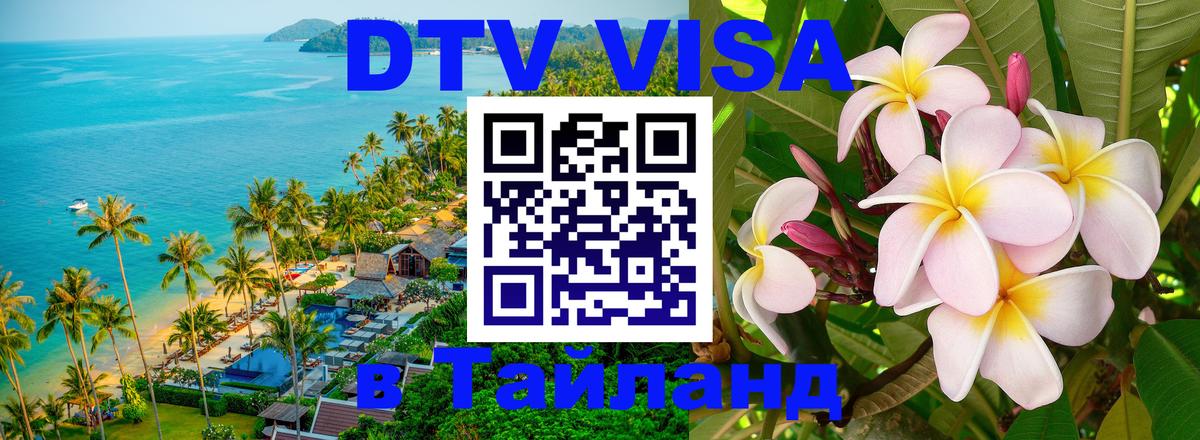 Сколько стоит DTV виза — актуальные цены, оформление даже без документов - 